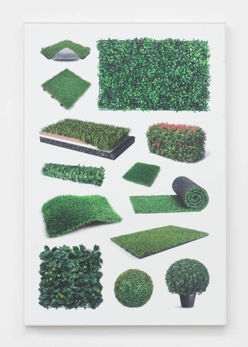 Jeff Gibson, Untitled (fake greenery II), 2018