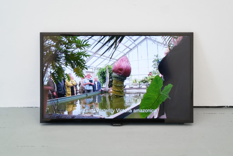 Ingela Ihrman in 'Becoming Plant' at Tenderpixel