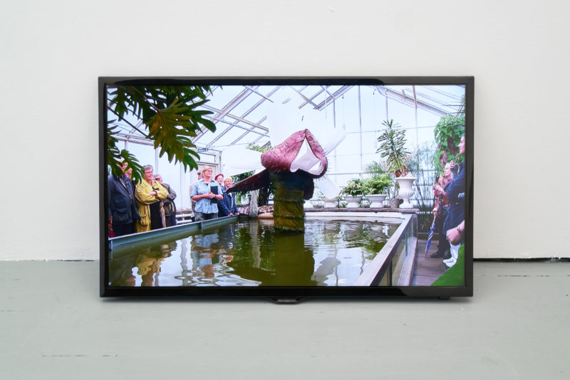 Ingela Ihrman in 'Becoming Plant' at Tenderpixel