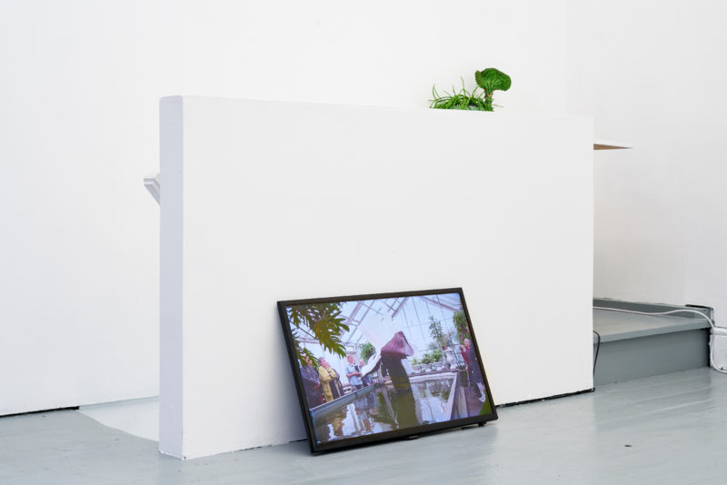 Ingela Ihrman in 'Becoming Plant' at Tenderpixel