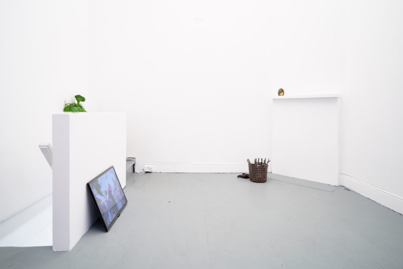 'Becoming Plant' at Tenderpixel