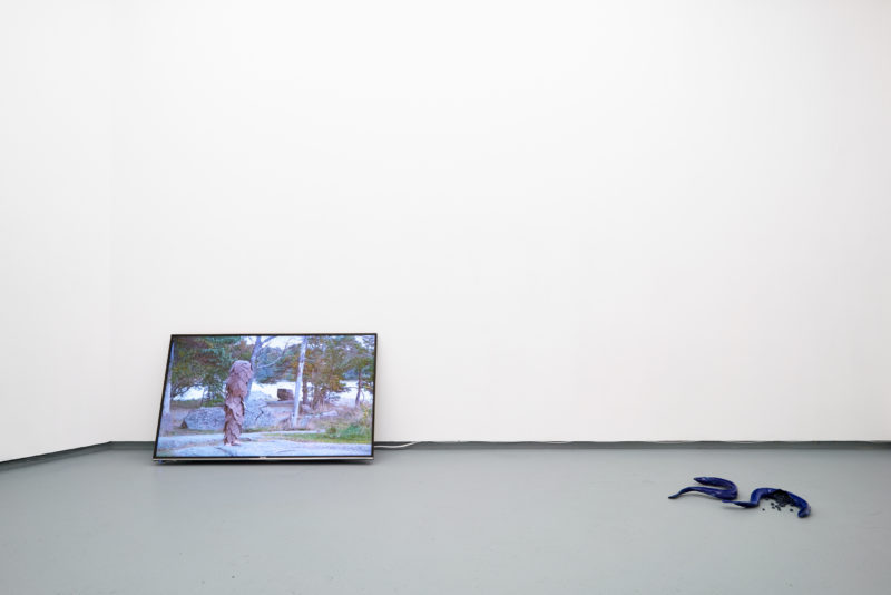 'Becoming Plant' at Tenderpixel